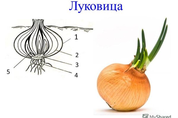 Ссылка на кракен официальный