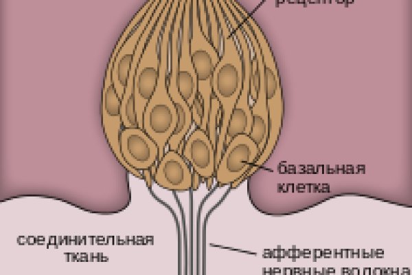 Kraken зеркало kr2web in