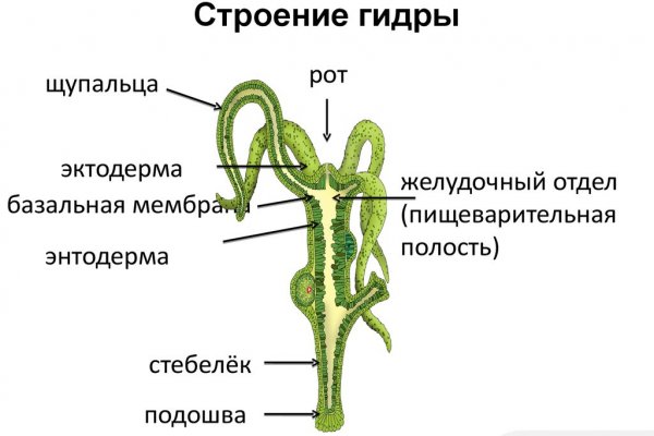 Кракен шоп krakenweb site